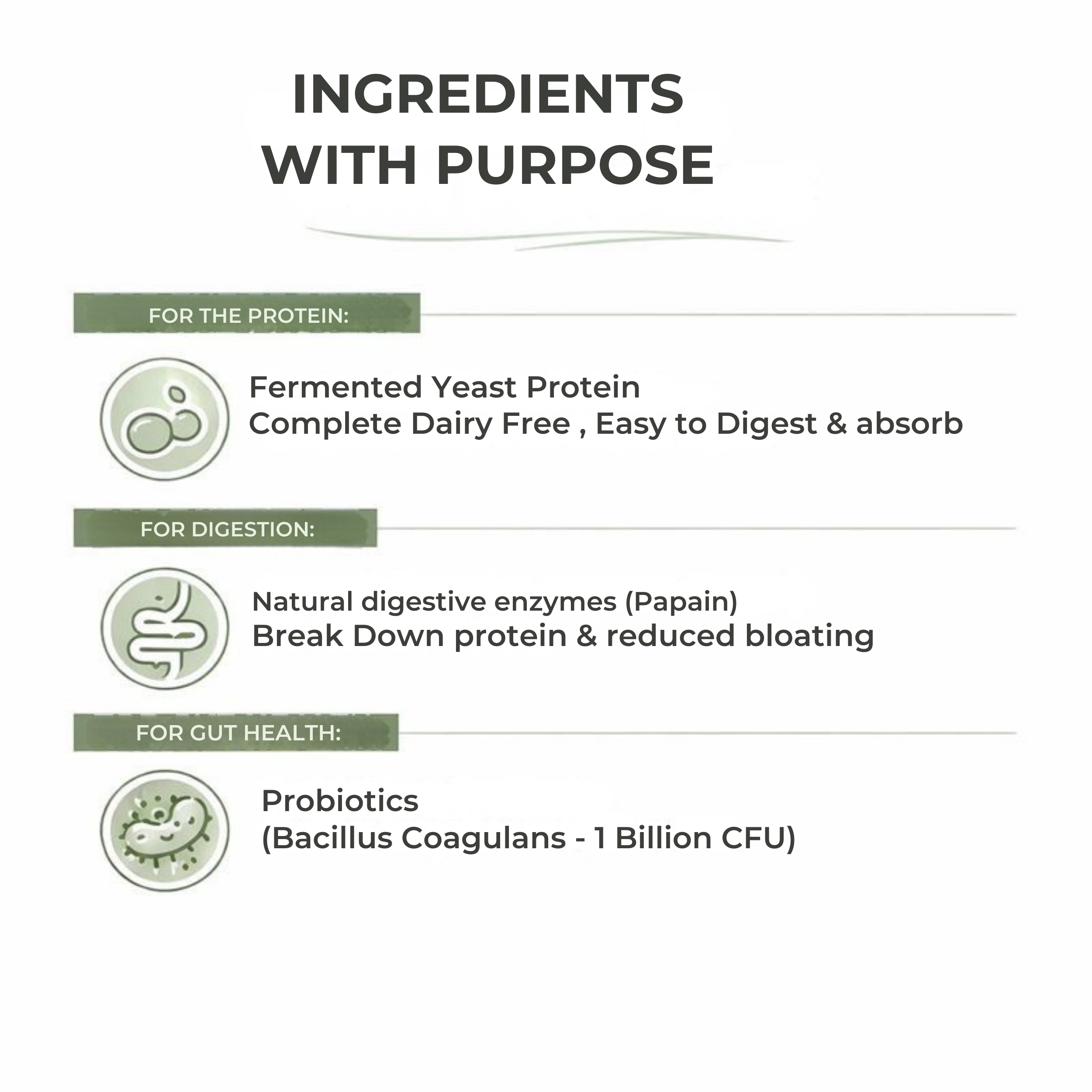 Livvra Protein Pouch